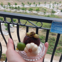 фото из отзыва ID 2344322