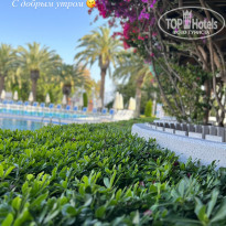 фото из отзыва ID 2344379