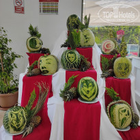 фото из отзыва ID 2344447