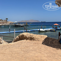 фото из отзыва ID 2344505