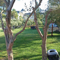 фото из отзыва ID 2344515