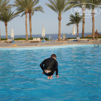 фото из отзыва ID 2344549