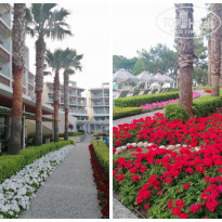 фото из отзыва ID 2344566