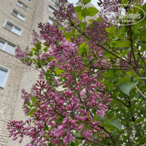 фото из отзыва ID 2344698