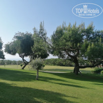 фото из отзыва ID 2344566