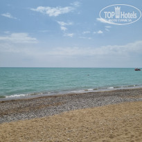 фото из отзыва ID 2344304