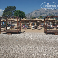 фото из отзыва ID 2344870