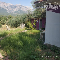 фото из отзыва ID 2344870