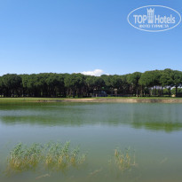 фото из отзыва ID 2344208