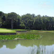 фото из отзыва ID 2344208