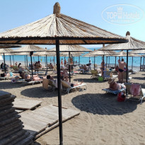 фото из отзыва ID 2344943