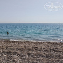 фото из отзыва ID 2344943