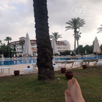 фото из отзыва ID 2344961