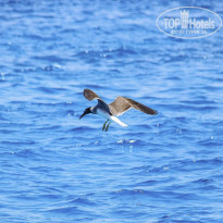 фото из отзыва ID 2344985