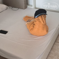 фото из отзыва ID 2345069