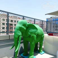 фото из отзыва ID 2344296