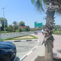 фото из отзыва ID 2344296