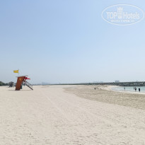 фото из отзыва ID 2344296