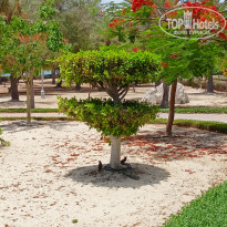 фото из отзыва ID 2344296