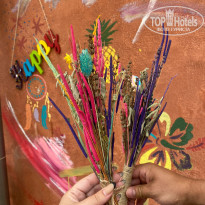 фото из отзыва ID 2345221