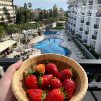 фото из отзыва ID 2345221