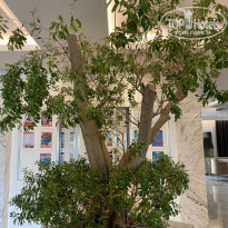 фото из отзыва ID 2345221