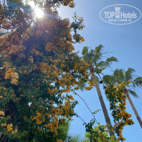 фото из отзыва ID 2345221