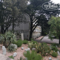 фото из отзыва ID 2345357