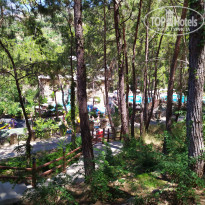 фото из отзыва ID 2345369