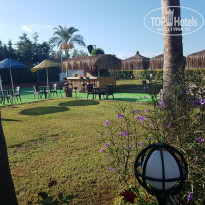 фото из отзыва ID 2345401