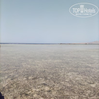 фото из отзыва ID 2345449