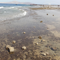 фото из отзыва ID 2345449