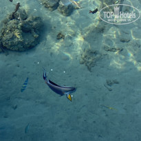 фото из отзыва ID 2345557