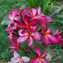 фото из отзыва ID 2345697
