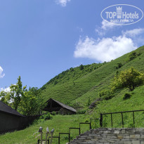 фото из отзыва ID 2345734