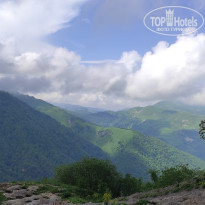 фото из отзыва ID 2345734