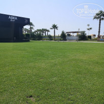 фото из отзыва ID 2345856