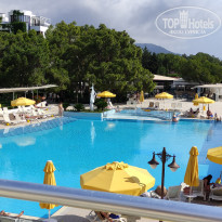 фото из отзыва ID 2345968