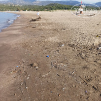 фото из отзыва ID 2346017