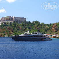 фото из отзыва ID 2343762