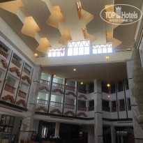 фото из отзыва ID 2346067