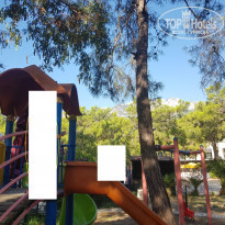 фото из отзыва ID 2346134