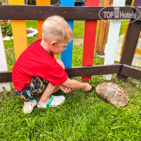 фото из отзыва ID 2346263