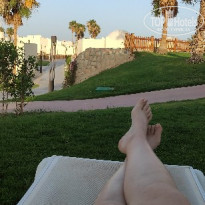 фото из отзыва ID 2349973