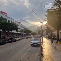 фото из отзыва ID 2349999