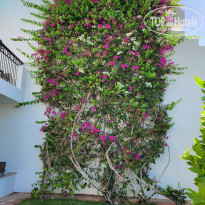 фото из отзыва ID 2346015