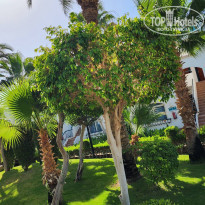 фото из отзыва ID 2346015