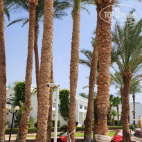 фото из отзыва ID 2346015