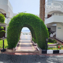 фото из отзыва ID 2346015