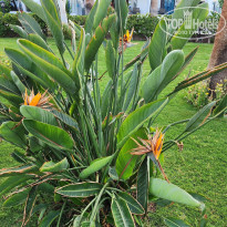 фото из отзыва ID 2346015